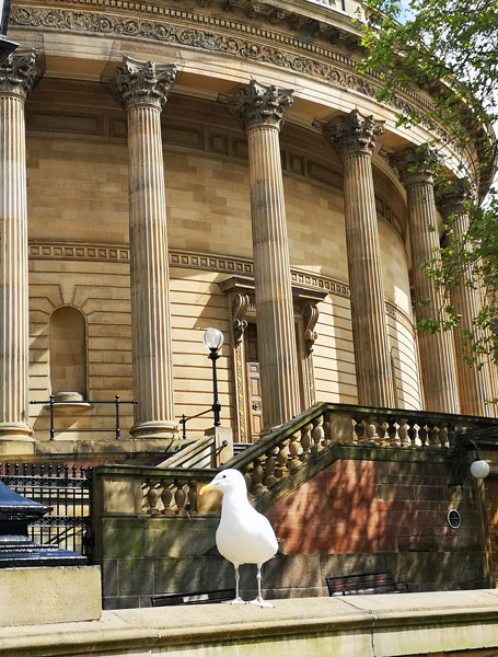 Liverpool-Librería-central