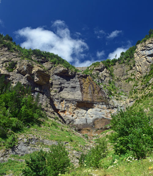 Estiviellas-Cola-de-Caballo