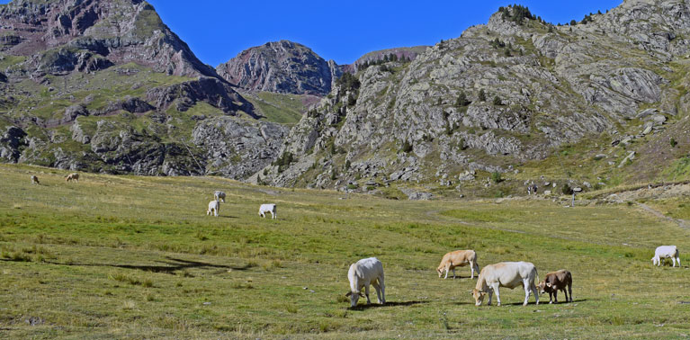 Ibón-de-Anayet-8